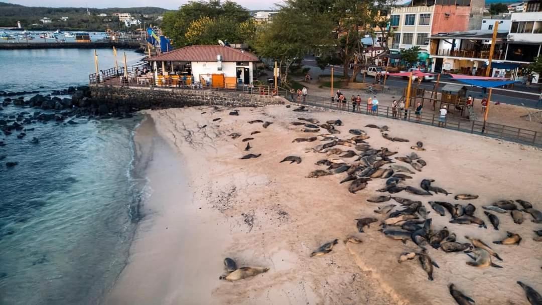 Royal Galapagos Inn بويرتو بكويريزو مورينو المظهر الخارجي الصورة